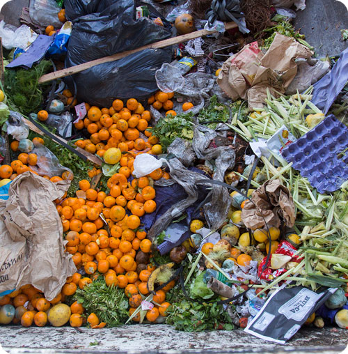 good-food-garbage-container-1
