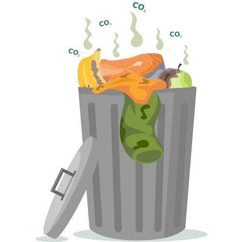 4-Juta-CO2